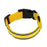 Anti-lost Led Luminous Dog Collar Pet Supplies