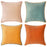 2025 Autumn New Cross-Border Foreign Trade Couch Sofa Decor Fashion Double-Sided Pillowcase